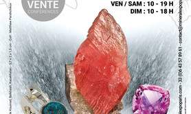 Salon Minéral Expo Paris 