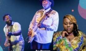 Chicago Blues Festival