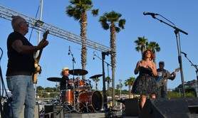 NOSTAR - Variétes inernationales et françaises, année 80