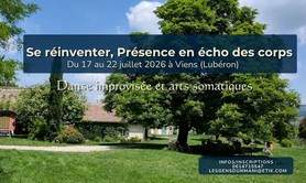 Stage d'été 2026 – Danse improvisation et arts somatiques