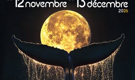 FESTIVAL CONTES ET RENCONTRES