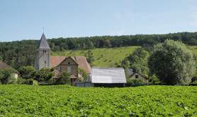 La Côte de Montreuil