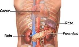 Le souffle du menhir - Stage Qi Gong de la rate