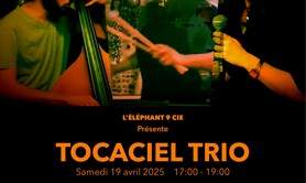 TOCACIEL TRIO - JAZZ LIVE 