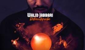 Walid Jabbari - Rebeu de Poche - Petit Palais des Glaces, Paris