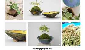 Stage Kokedama et son écrin en céramique
