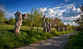 Les trois chemins/Chemin des Trognes
