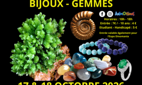 7ème Salon Minéraux Fossiles + Expo Dinomania