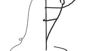 Prestations/leçons chant/pole dance