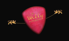 Willy et les Conquérants - Duo Musical Acoustique