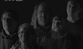 Les Pbee's - Fusion pop folk