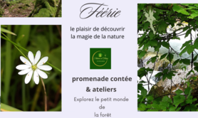 Clownôcontes -  