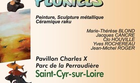 ARTS PLURIELS