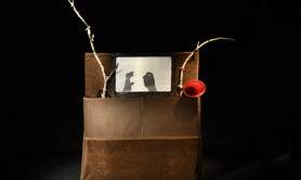 Aŭko  Ĉina ombro show kun manoj - Spectacle d'ombres 