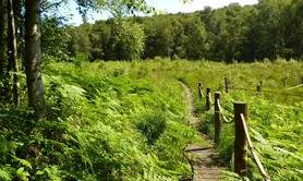 La Tourbière des Froux