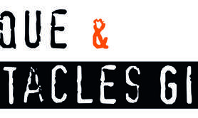 Musique & Spectacles GIRARD  - Cours de musique 