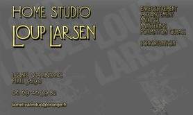 Home studio Loup Larsen - Enregistrement Home Studio Mixage, Mastering. Sonorisation.