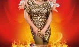 Zize - IrréZIZEtible (Tournée)