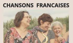 Daniele Cohen - Concert de Chansons Sensibles