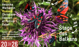 Musique des Balkans (tous instruments)