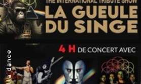 QUEEN ALIVE - BESTOF FLOYD - COLDPLAYED