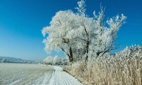 Hiver, à Barret , stage de Piano 3 jours INTENSIFS