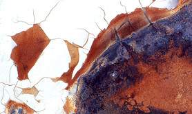 Christophe Bohême - Artiste et Auteur photographe