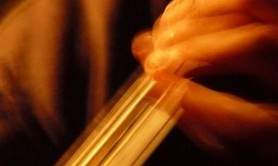 Dmitri TOKAREV - CONTREBASSE (leçons)