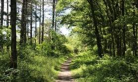 Parc Naturel Départemental - Les Dolines de Limère