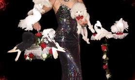 ANTHONY SHOW - Spectacle de Cirque en Salle avec Animaux