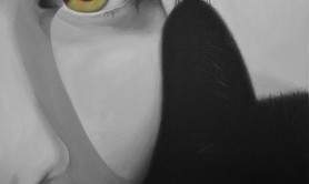 Marc Palluy - Artiste Peintre