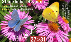 Stage de violon avec Camille Jagueneau
