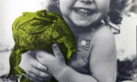 Documentaire Mui : Cane Toads: An Unnatural History (1988)
