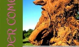 the juniper comedy - un parcours de sculptures dans la garrigue - création d'alexandra gerber