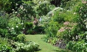 Jardin personnel d'André Eve