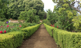 Jardin Potager des Etournelles