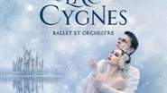 Le Lac des Cygnes - Ballet & Orchestre - Tournée 2027