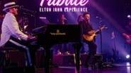 The EltonTribute - Elton John Experience