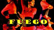 Flamenco Fiesta Fuego