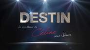 DESTIN Tribute Céline Dion - Le meilleur de Céline sur scène