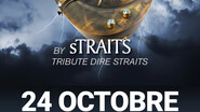 Concert tribute Dire Straits