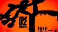 Looking For U2  - Tribute U2