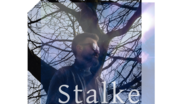Steven CHOUPAUX - Stalke 