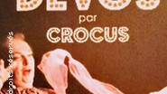 Devos par Crocus