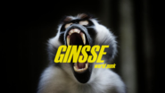 GINSSE - Duo World-Punk
