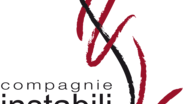 Cie Instabili - Danse contemporaine