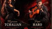 Flamenco Live
