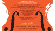 14 -ème Festival 