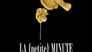 La (petite) minute du papillon - Spectacle 0-5 ans