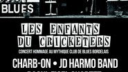 LES ENFANTS DU CRICKETERS